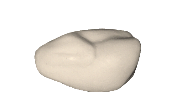 p646129