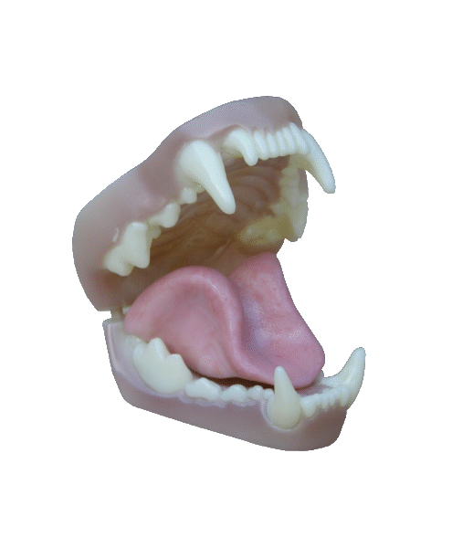 p646129
