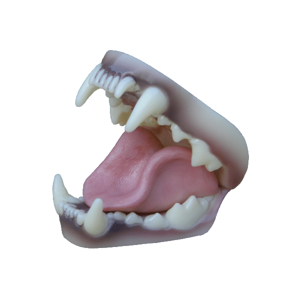 p646129