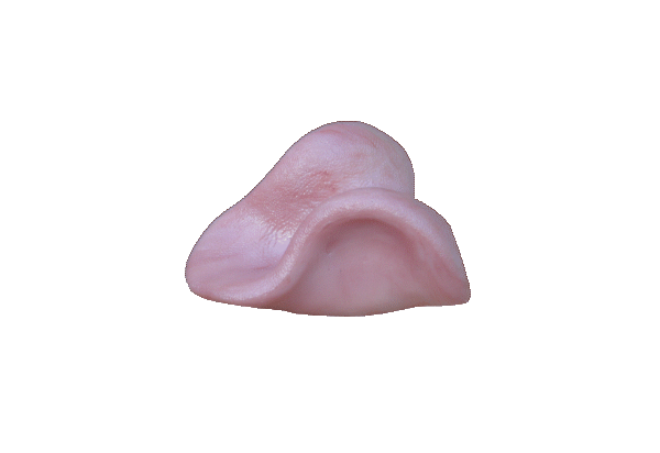 p646129