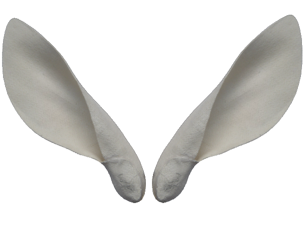 p646129