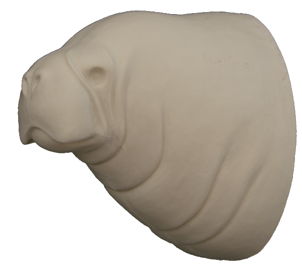 p646129