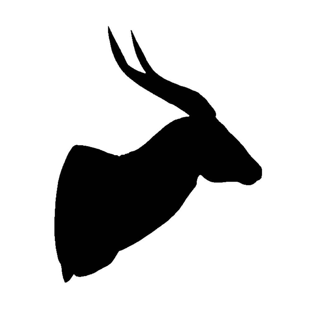 p646129