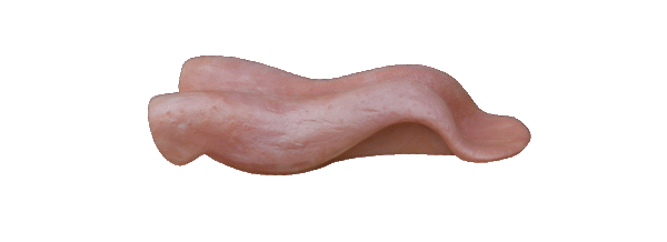 p646129