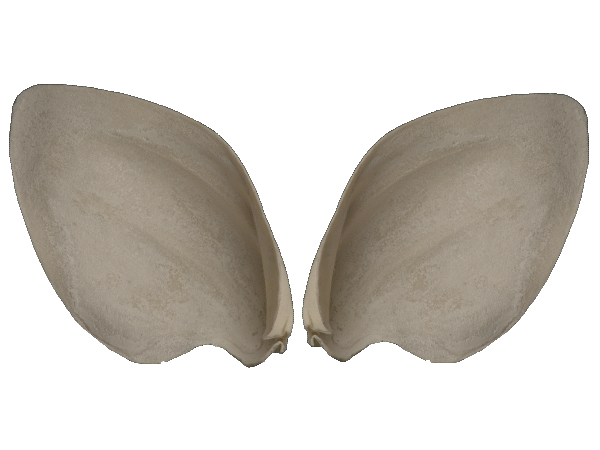 p646129