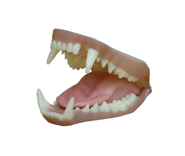 p646129