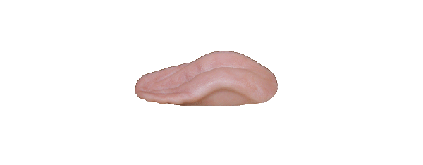 p646129