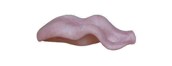 p646129