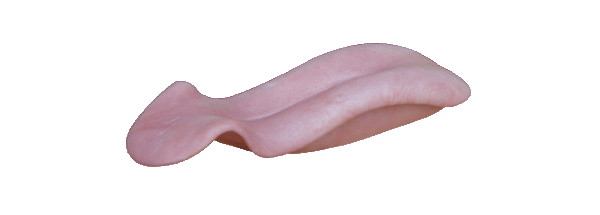 p646129