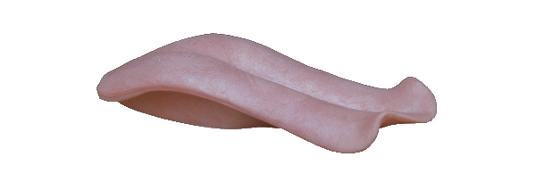 p646129