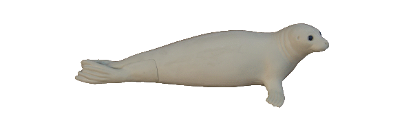 p646129