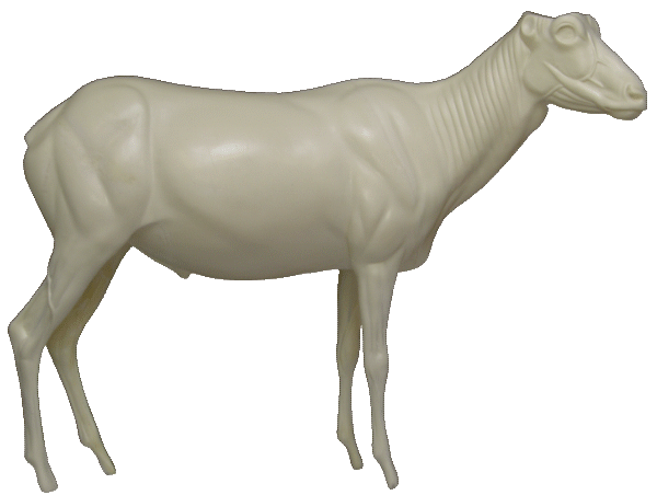 p646129