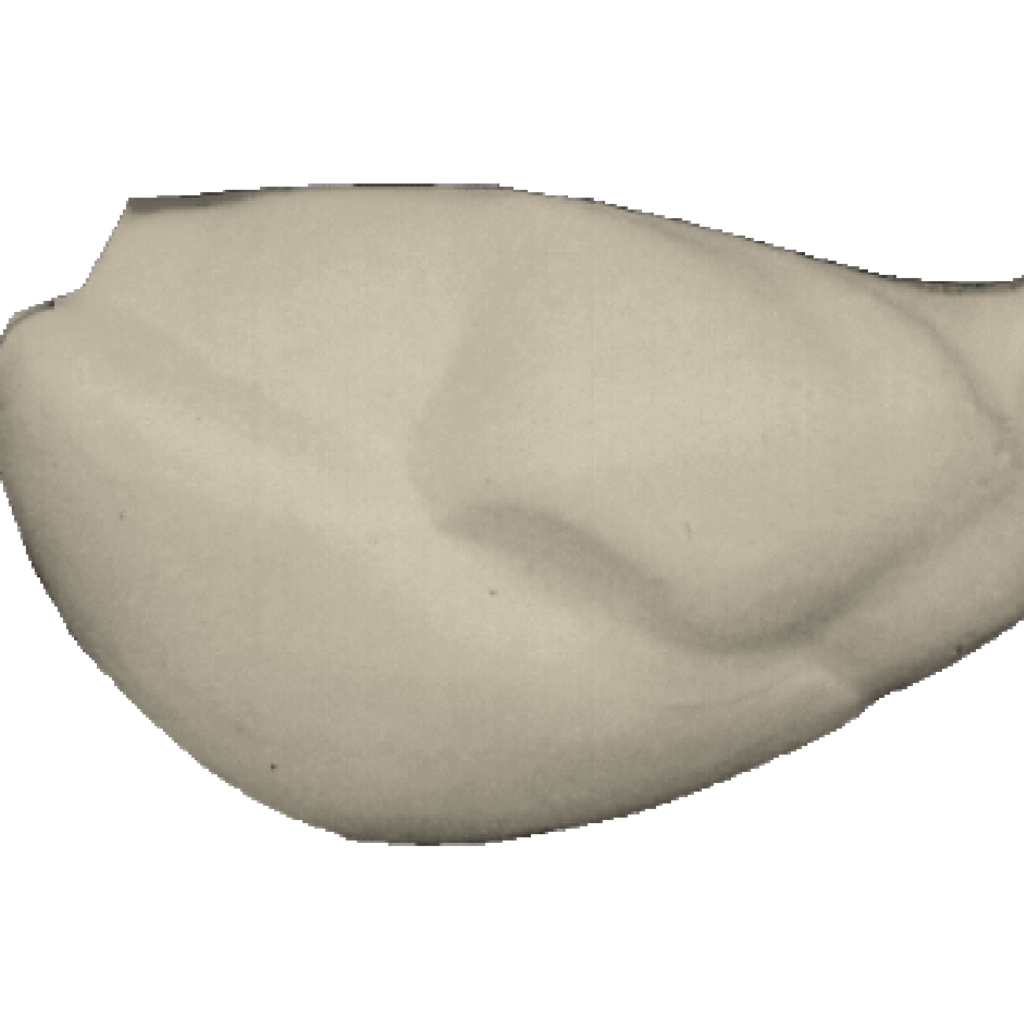 p646129