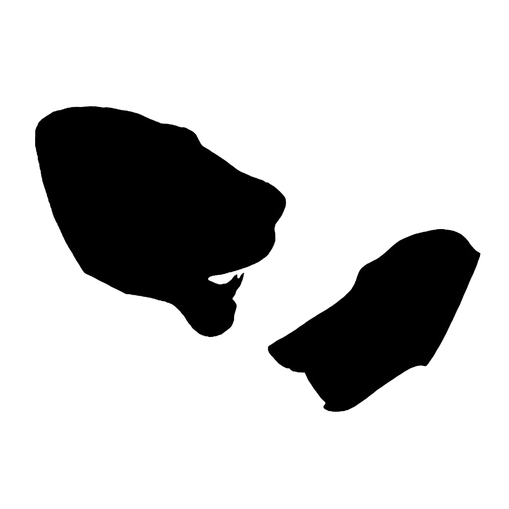 p646129
