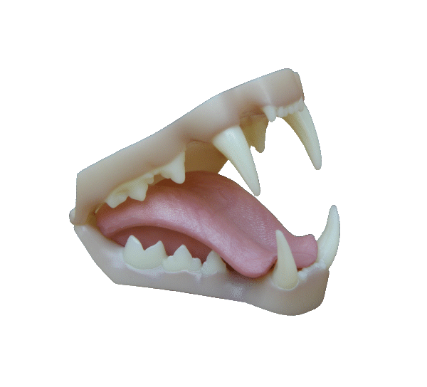 p646129