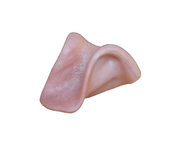 p646129