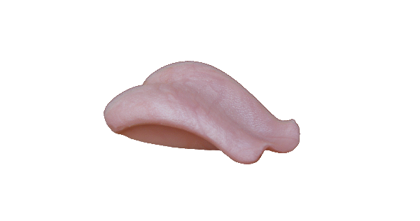 p646129