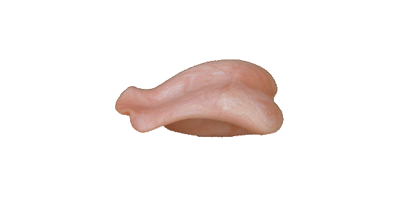 p646129