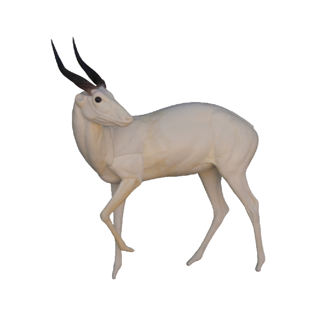 p646129