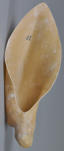 p646129