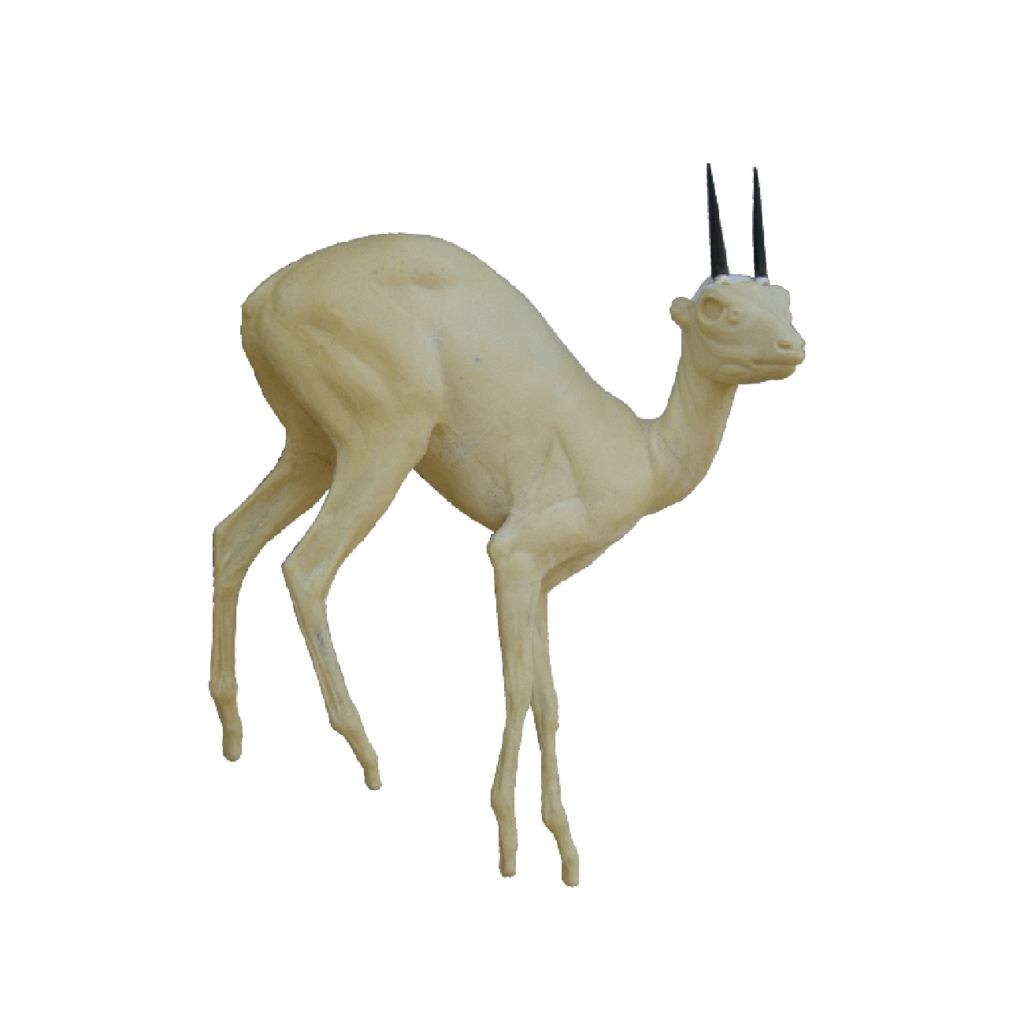 p646129