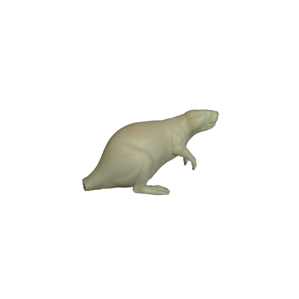 p646129