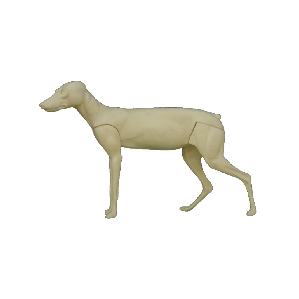 p646129