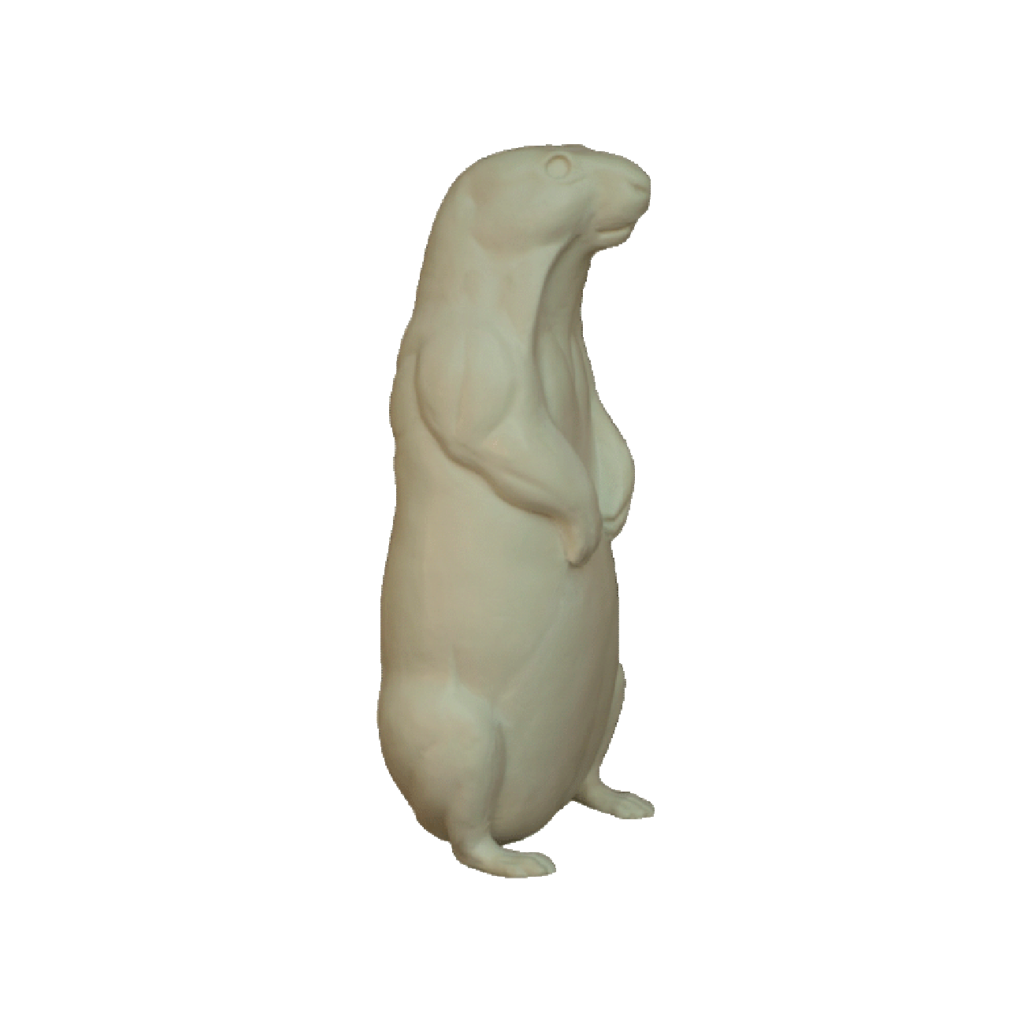 p646129