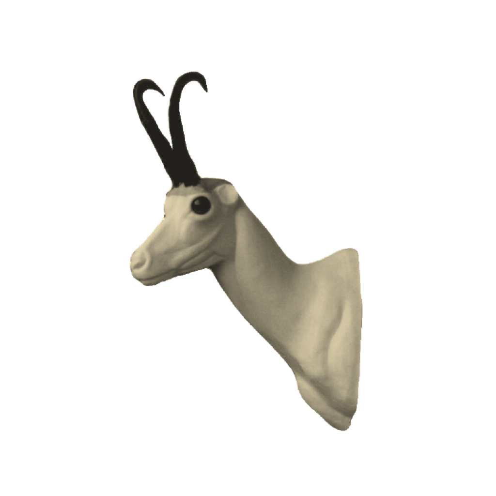 p646129