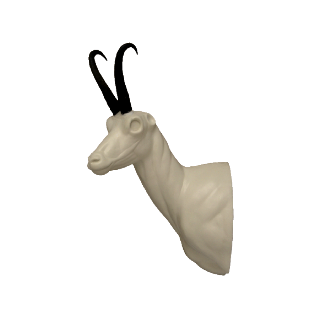 p646129
