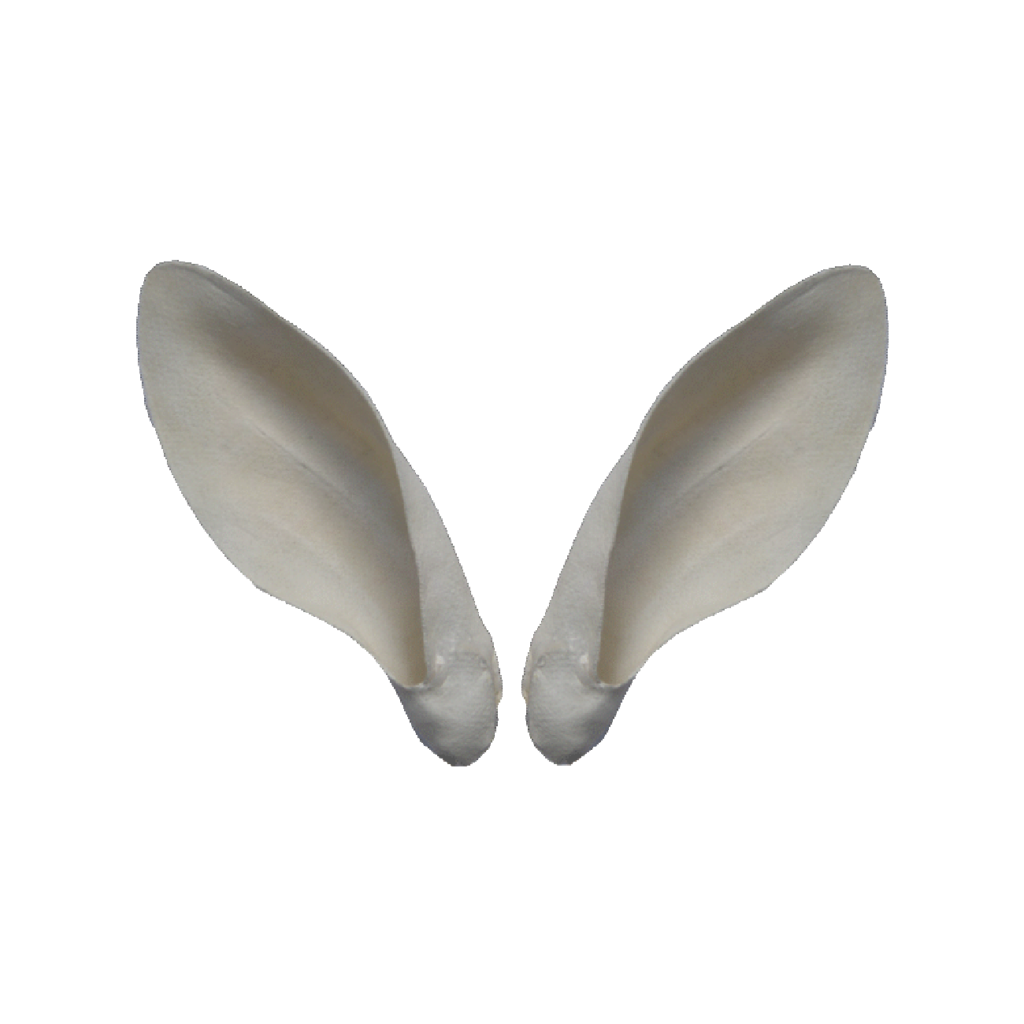 p646129