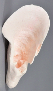 p646129