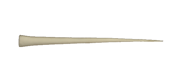p646129