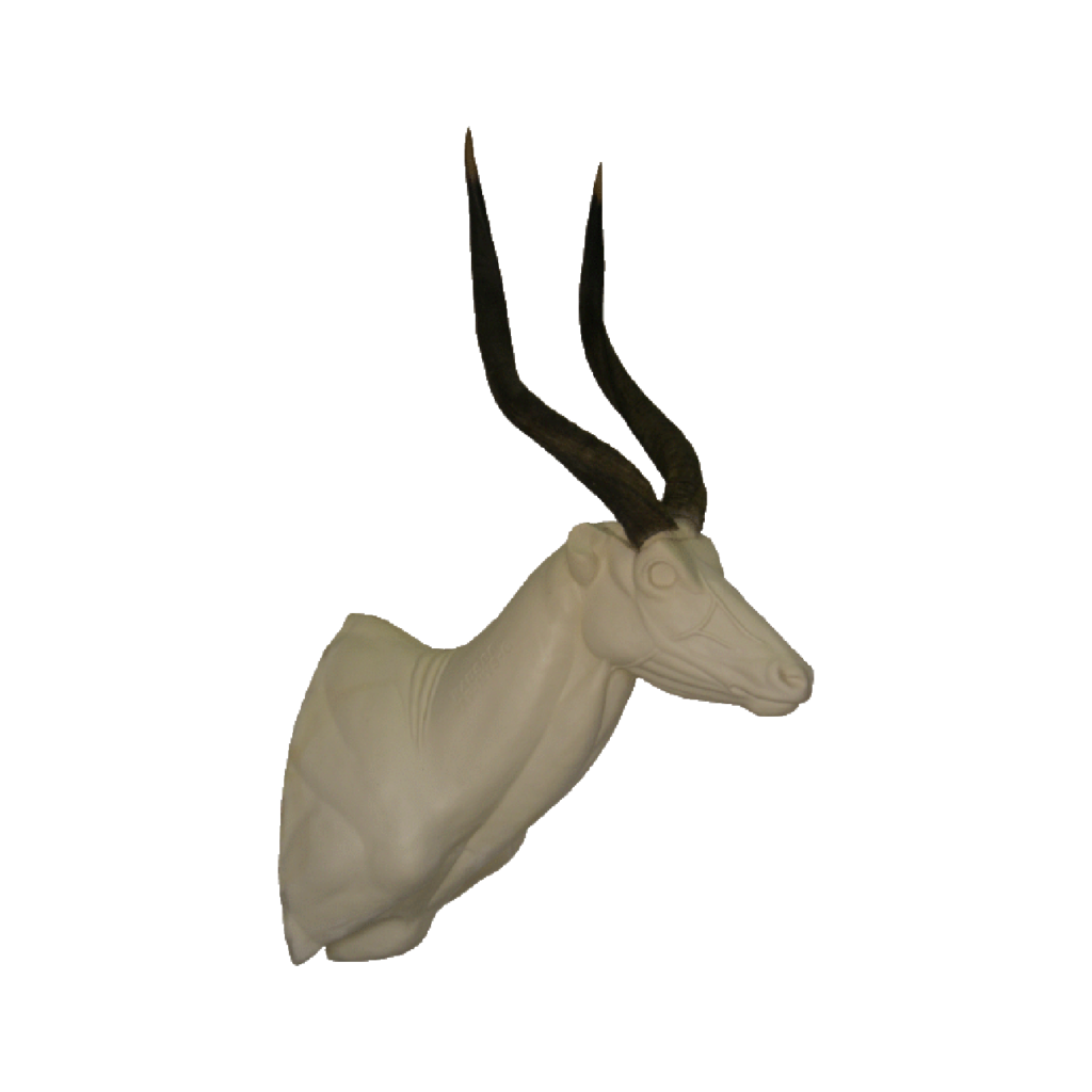 p646129