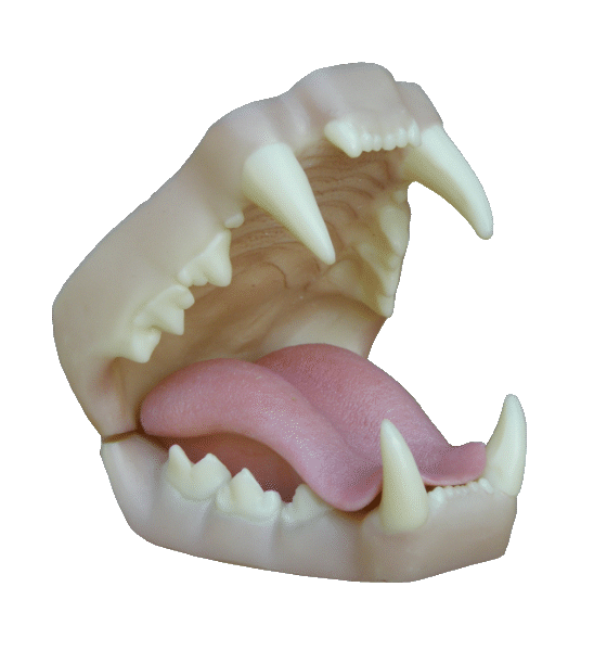 p646129
