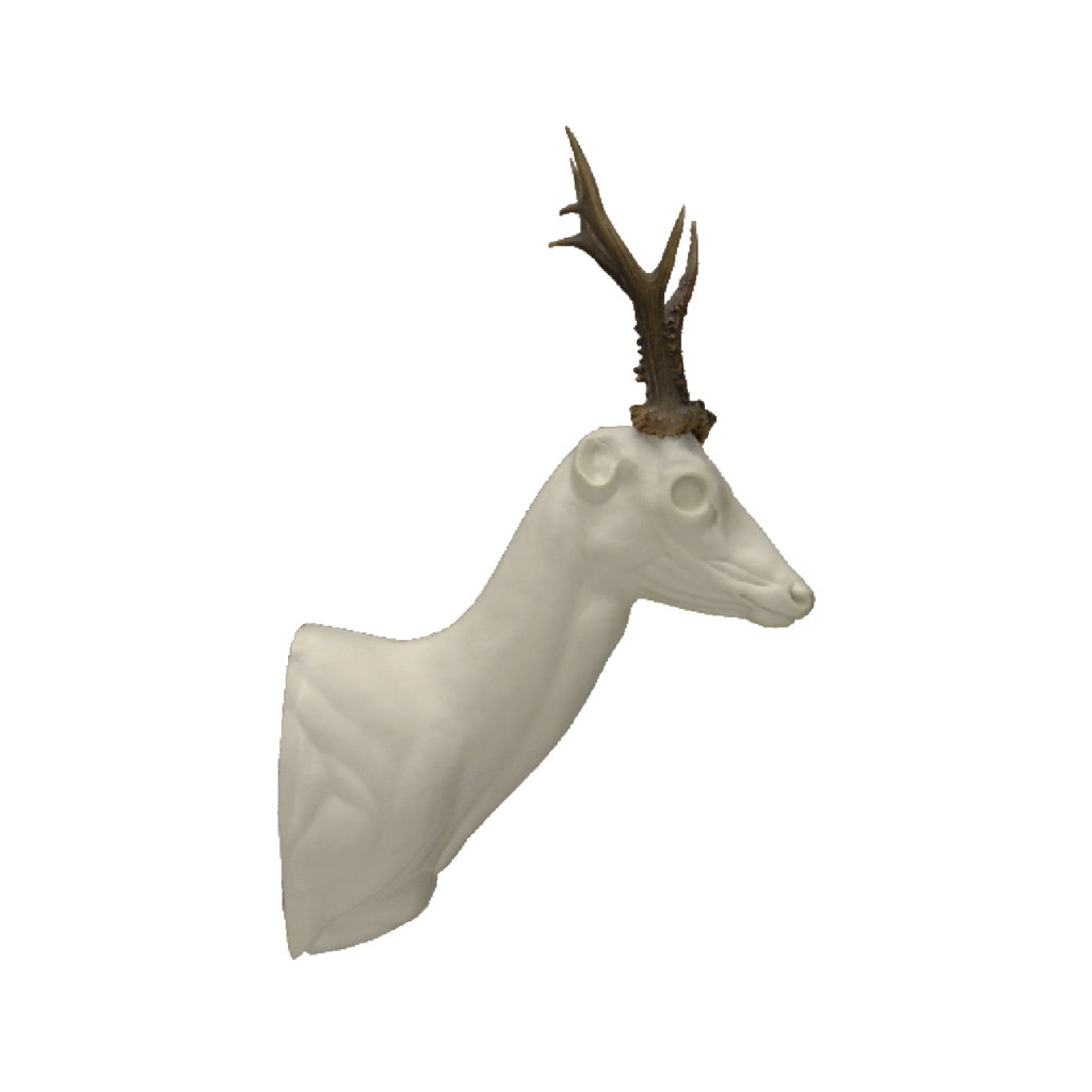 p646129