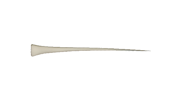p646129