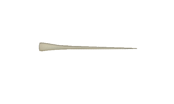 p646129