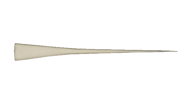 p646129