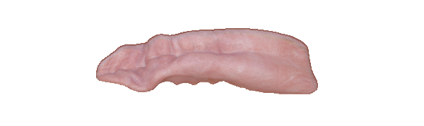p646129
