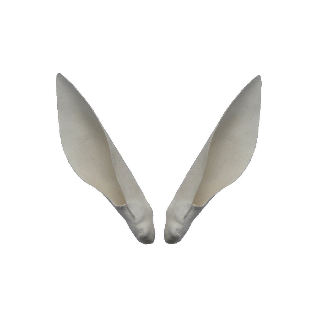 p646129