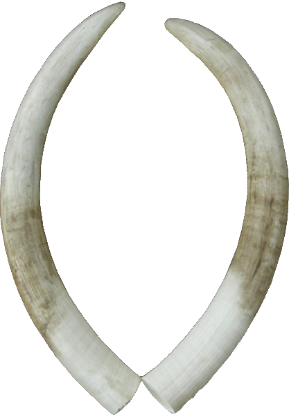 p646129