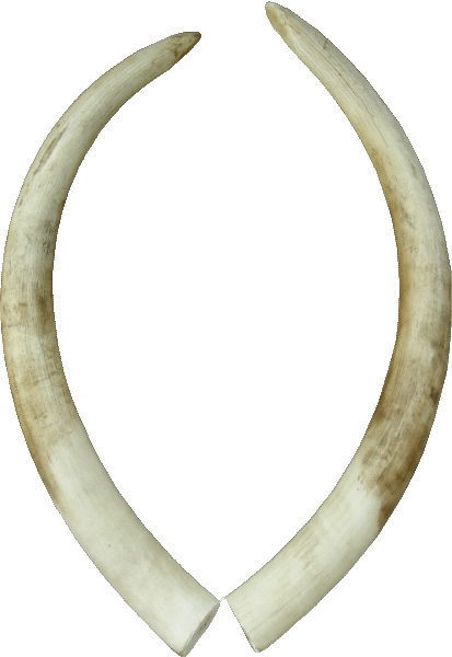 p646129