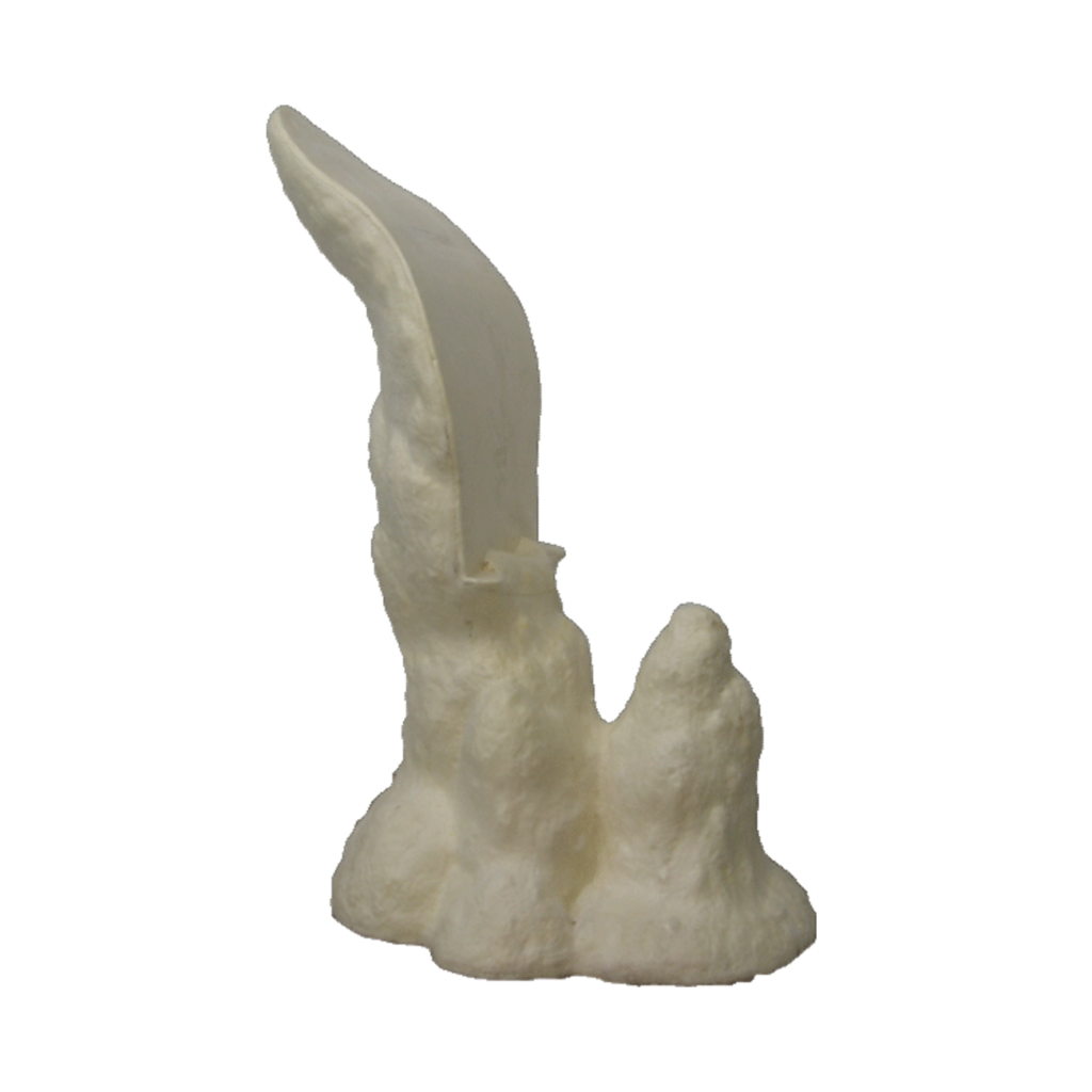 p646129