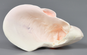 p646129