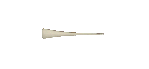 p646129