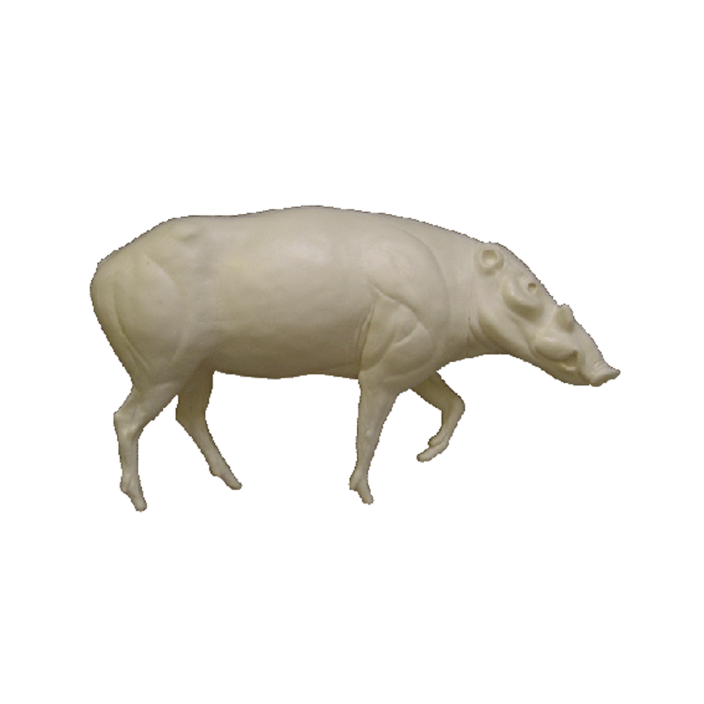 p646129