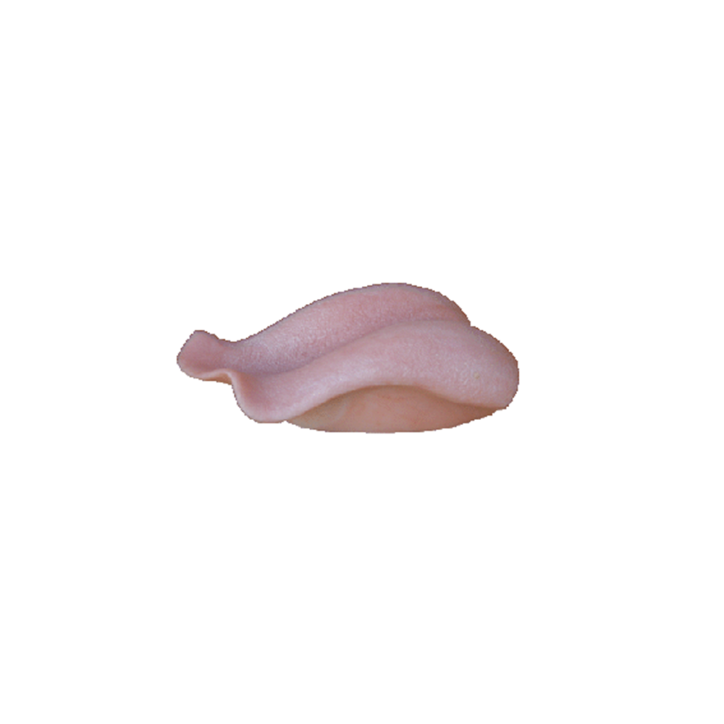 p646129