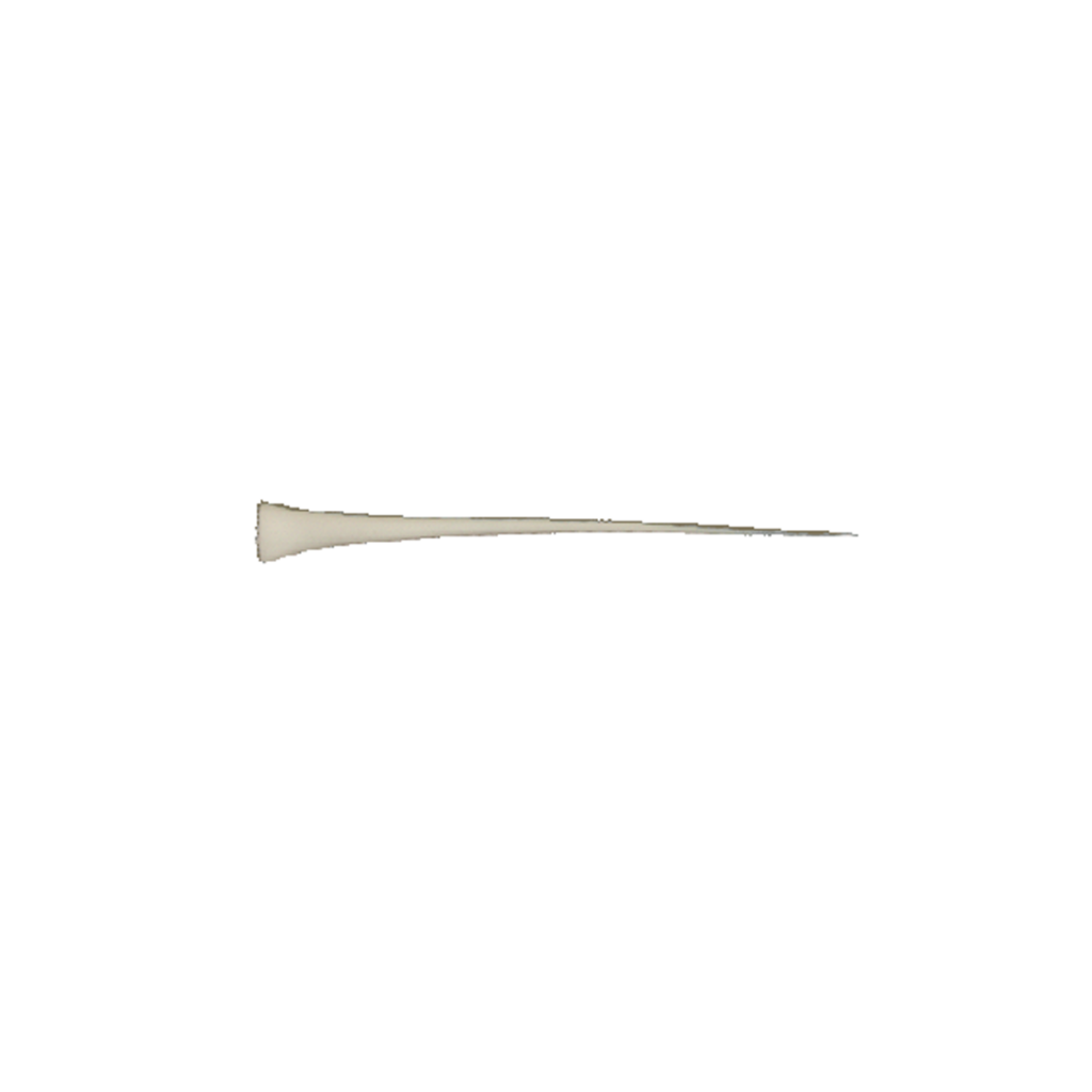 p646129