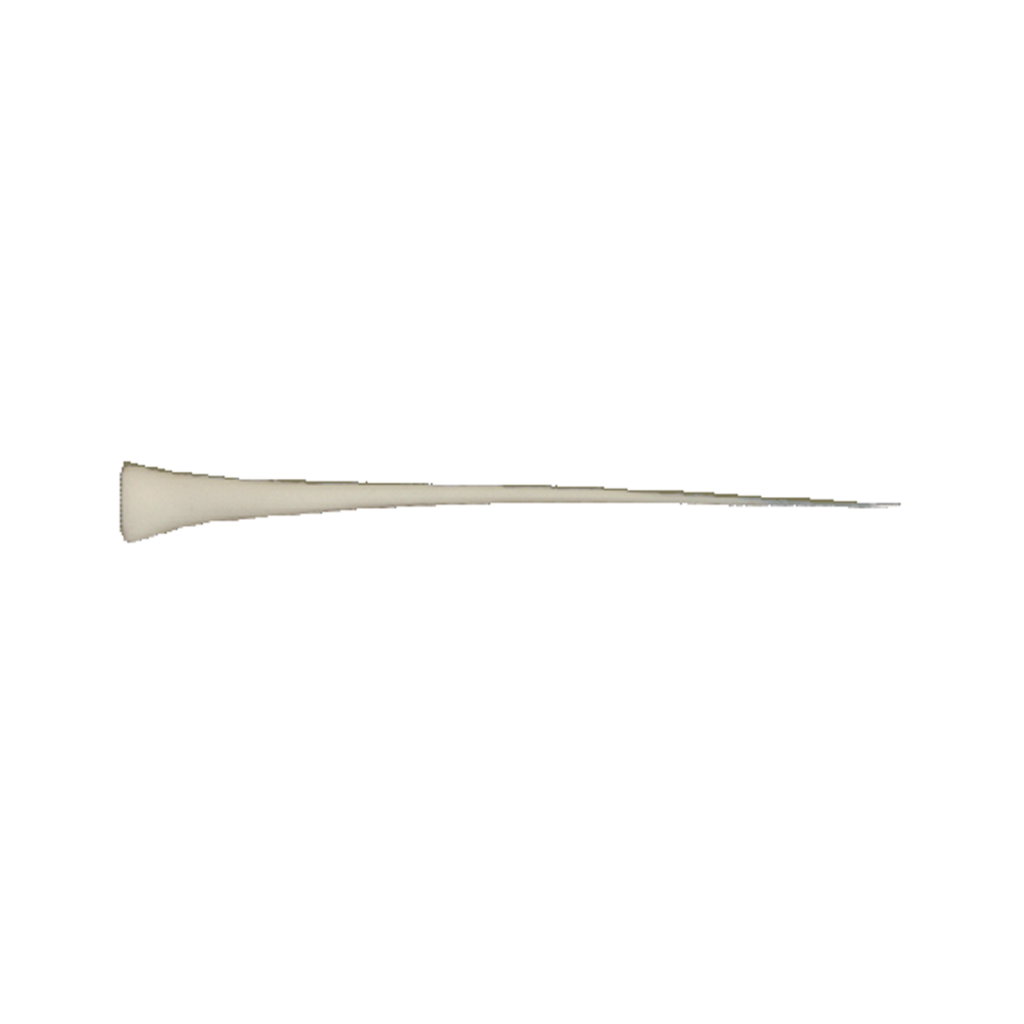 p646129
